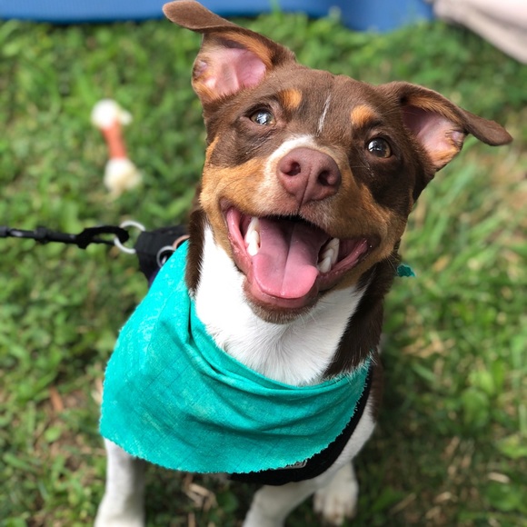 Meet your Posher, Christina - Picture 6 of 7